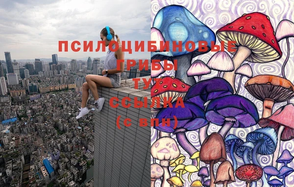 мдпв Абаза