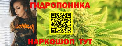 PSILOCYBIN Пугачёв