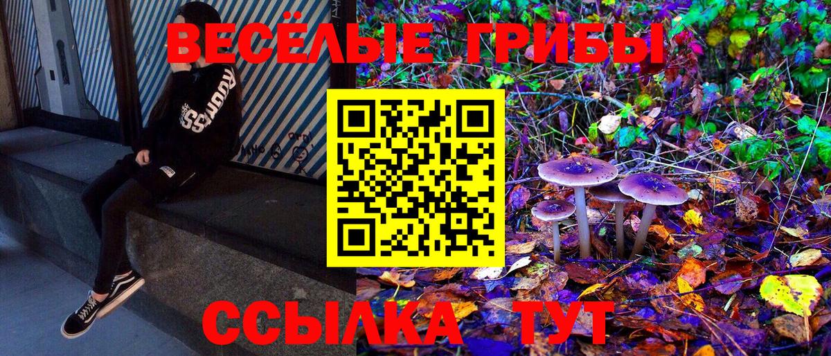 Псилоцибиновые грибы MAGIC MUSHROOMS  Вход с VPN  Галлюциногенные грибы прущие грибы  Аксай 